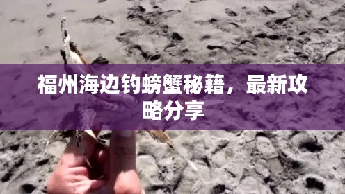 福州海边钓螃蟹秘籍,最新攻略分享