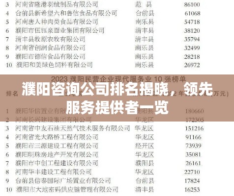 濮阳咨询公司排名揭晓,领先服务提供者一览
