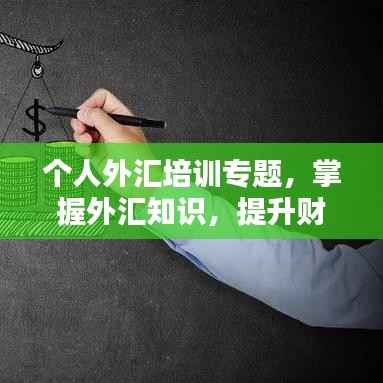 个人外汇培训专题,掌握外汇知识,提升财富管理技能