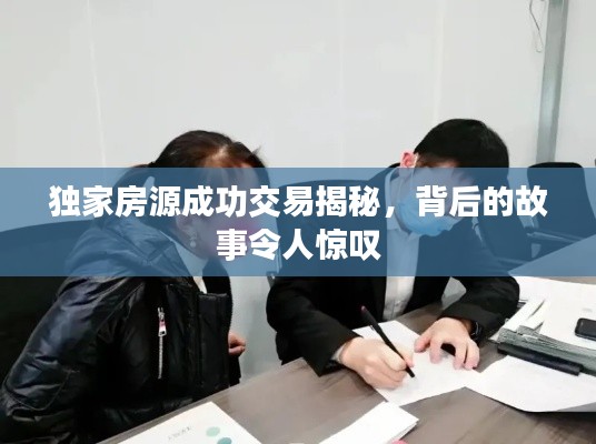 独家房源成功交易揭秘，背后的故事令人惊叹