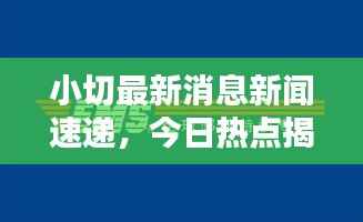 小切最新消息新闻速递，今日热点揭秘