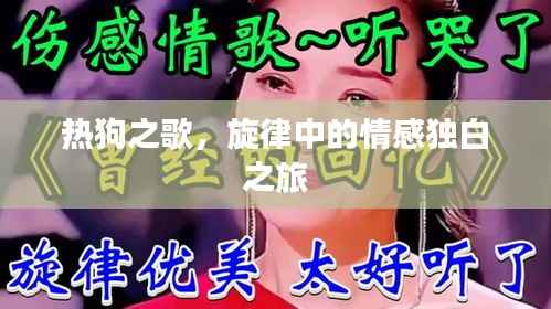 热狗之歌,旋律中的情感独白之旅