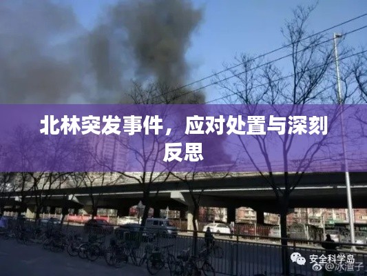 北林突发事件，应对处置与深刻反思