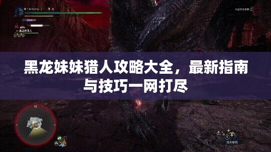 黑龙妹妹猎人攻略大全，最新指南与技巧一网打尽