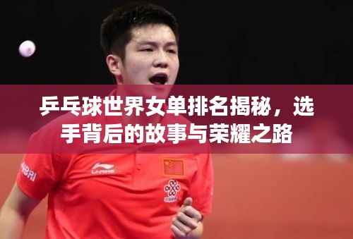 乒乓球世界女单排名揭秘,选手背后的故事与荣耀之路