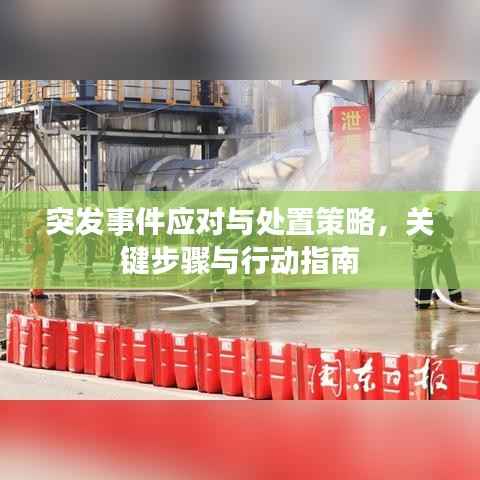 突发事件应对与处置策略,关键步骤与行动指南