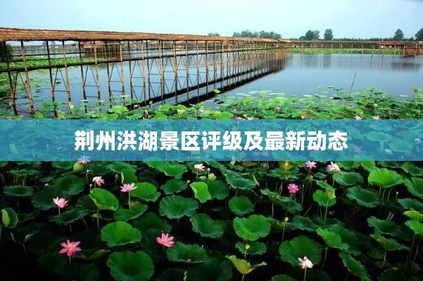 荆州洪湖景区评级及最新动态