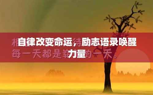 采椽不斫 第5页