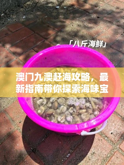 澳门九澳赶海攻略，最新指南带你探索海味宝藏！