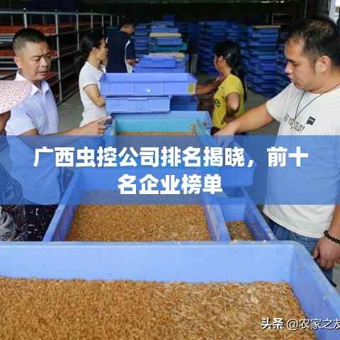 广西虫控公司排名揭晓，前十名企业榜单