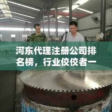 河东代理注册公司排名榜，行业佼佼者一网打尽！