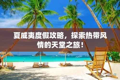夏威夷度假攻略,探索热带风情的天堂之旅!
