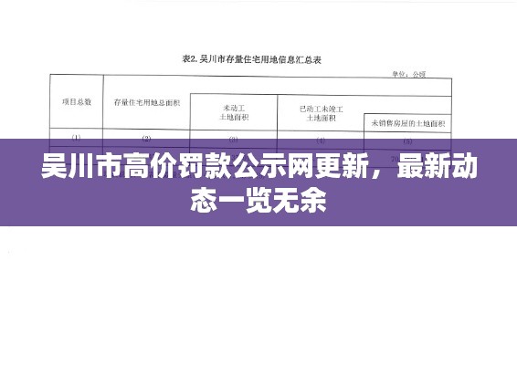 吴川市高价罚款公示网更新,最新动态一览无余