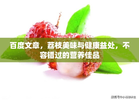 百度文章，荔枝美味与健康益处，不容错过的营养佳品