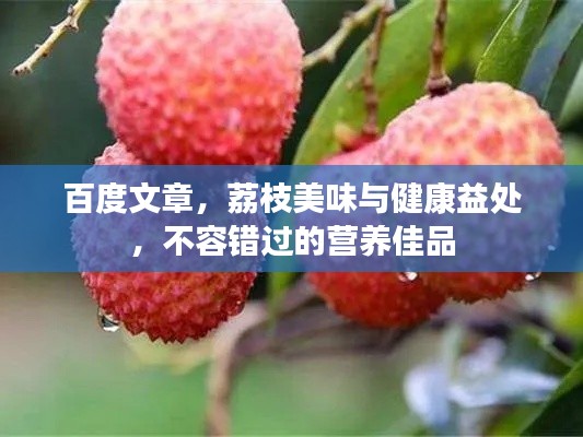 百度文章,荔枝美味与健康益处,不容错过的营养佳品