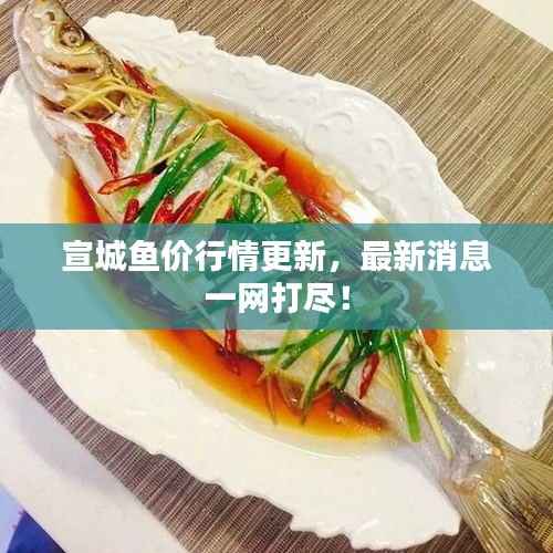 宣城鱼价行情更新，最新消息一网打尽！