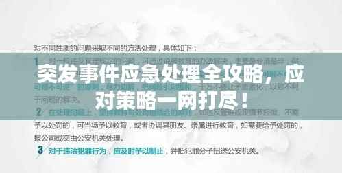 炙手可热 第4页