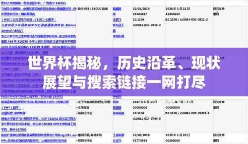世界杯揭秘，历史沿革、现状展望与搜索链接一网打尽