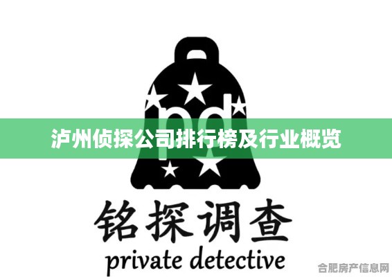 泸州侦探公司排行榜及行业概览