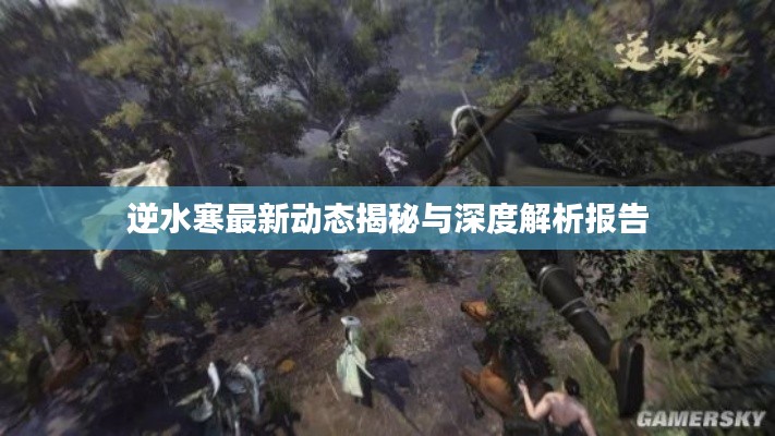 逆水寒最新动态揭秘与深度解析报告