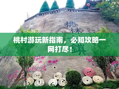 桃村游玩新指南，必知攻略一网打尽！