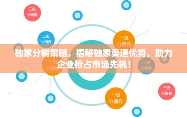 独家分销策略，揭秘独家渠道优势，助力企业抢占市场先机！
