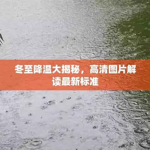 比张比李 第4页