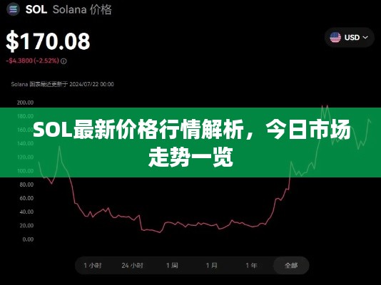 SOL最新价格行情解析，今日市场走势一览