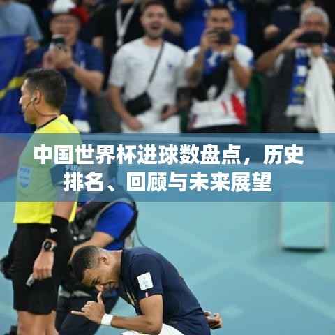 翰飞戾天 第4页