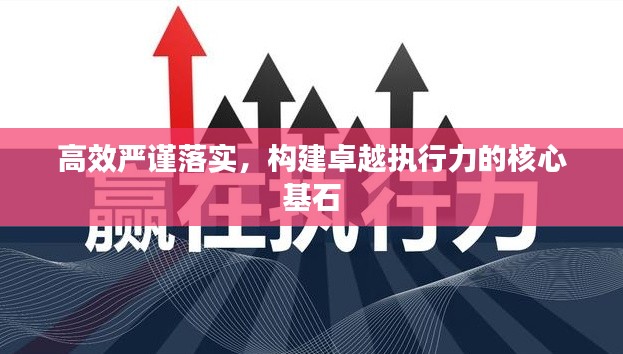 高效严谨落实,构建卓越执行力的核心基石