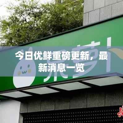 今日优鲜重磅更新,最新消息一览