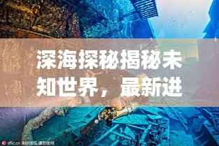 深海探秘揭秘未知世界,最新进展引领大洋探险新闻头条