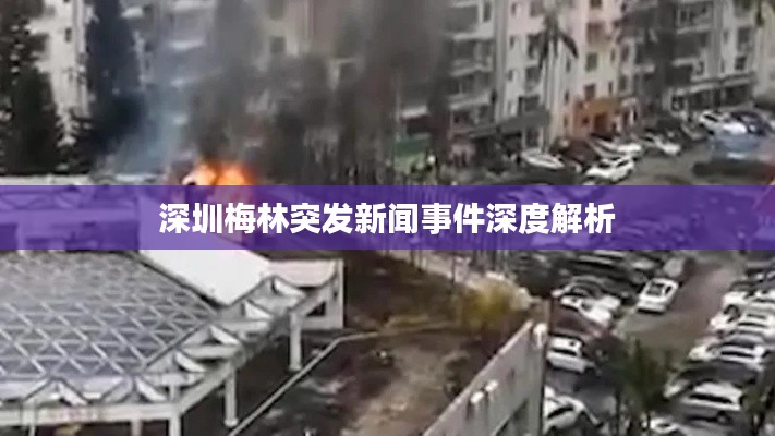 鬼张鬼智 第4页