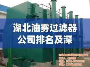 湖北油雾过滤器公司排名及深度市场分析