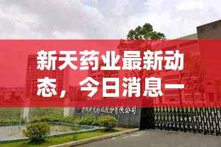新天药业最新动态,今日消息一网打尽