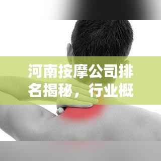 河南按摩公司排名揭秘，行业概述与优质机构推荐