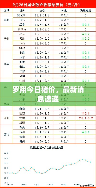 罗翔今日猪价，最新消息速递