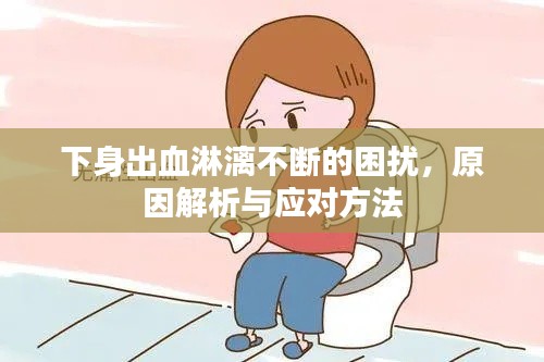 下身出血淋漓不断的困扰,原因解析与应对方法