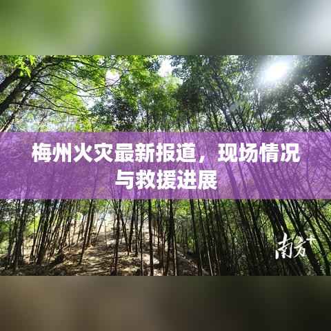梅州火灾最新报道，现场情况与救援进展