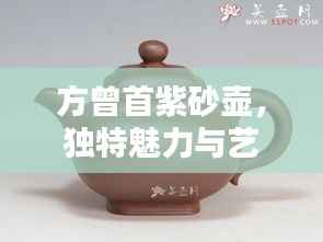 方曾首紫砂壶，独特魅力与艺术价值的探索