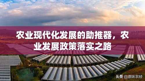 农业现代化发展的助推器，农业发展政策落实之路