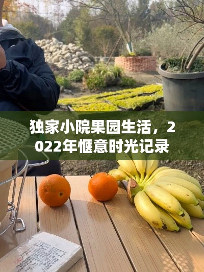 独家小院果园生活，2022年惬意时光记录