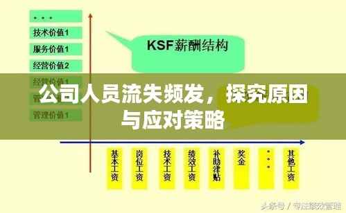 公司人员流失频发,探究原因与应对策略
