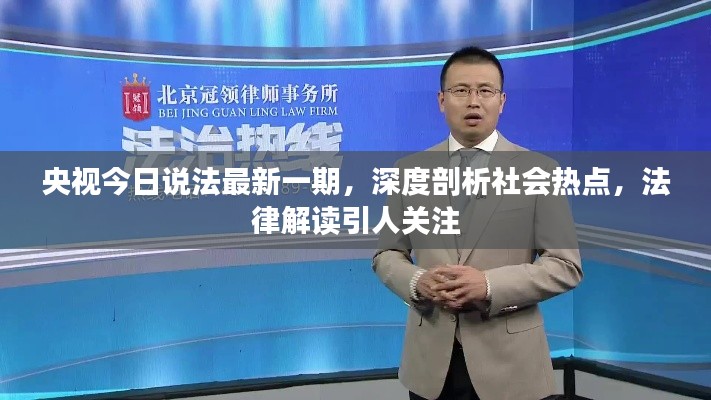 央视今日说法最新一期,深度剖析社会热点,法律解读引人关注