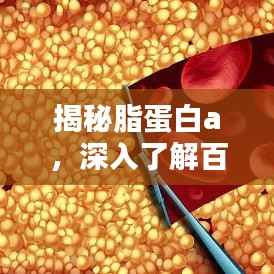 揭秘脂蛋白a,深入了解百度搜索结果中的医学奥秘