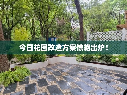 今日花园改造方案惊艳出炉!