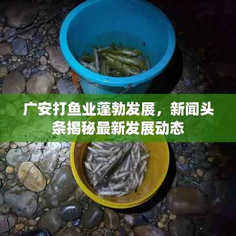 广安打鱼业蓬勃发展，新闻头条揭秘最新发展动态