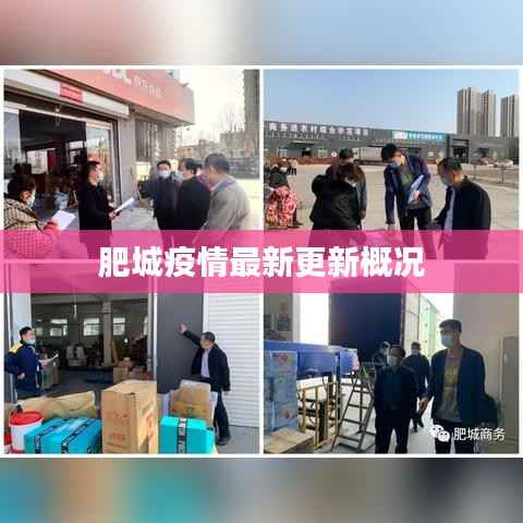 肥城疫情最新更新概况