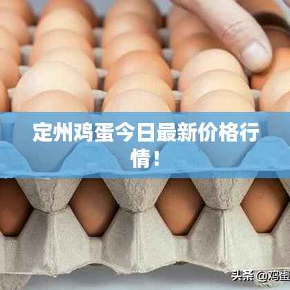 定州鸡蛋今日最新价格行情！