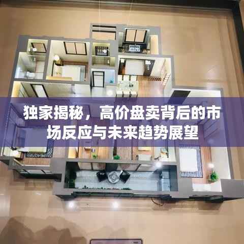独家揭秘，高价盘卖背后的市场反应与未来趋势展望
